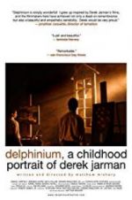 Watch Delphinium: A Childhood Portrait of Derek Jarman Fmovies