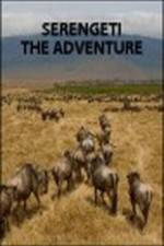 Watch Serengeti: The Adventure Fmovies