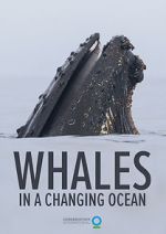Watch Whales in a Changing Ocean (Short 2021) Fmovies