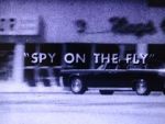 Watch Spy on the Fly (Short 1967) Fmovies