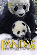 Watch Pandas: The Journey Home Fmovies