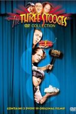 Watch The Ghost Talks Fmovies