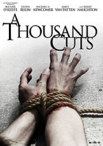 Watch A Thousand Cuts Fmovies