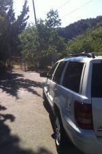 Watch Nefarious Nellie Fmovies