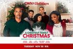 Watch A Chestnut Family Christmas Fmovies
