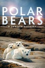 Watch Polar Bears: A Summer Odyssey Fmovies