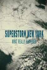 Watch Superstorm New York: What Really Happened Fmovies