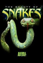 Watch Beauty of Snakes Fmovies