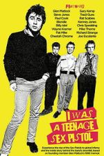 Watch I Was a Teenage Sex Pistol Fmovies
