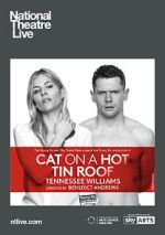 Watch Cat on a Hot Tin Roof Fmovies