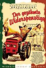 Watch The Taming of the Scoundrel Fmovies