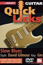 Watch Lick Library Quick Licks David Gilmour Fmovies
