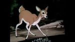 Watch Wacky Wildlife (Short 1940) Fmovies