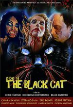Watch POE 4: The Black Cat Fmovies