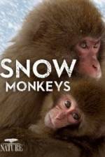 Watch Nature: Snow Monkeys Fmovies