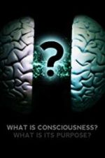 Watch What Is Consciousness? What Is Its Purpose? Fmovies