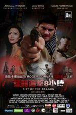 Watch Fist of the Dragon Fmovies
