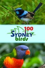Watch 100 Sydney Birds Fmovies