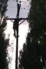 Watch After the Wind Fmovies