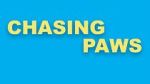 Watch Chasing Paws (Short 2020) Fmovies