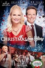 Watch A Christmas Love Story Fmovies