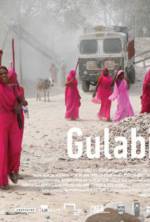 Watch Gulabi Gang Fmovies