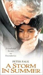 Watch A Storm in Summer Fmovies