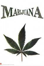 Watch Nederwiet De Moevie Fmovies