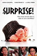 Watch The Surprise! Fmovies