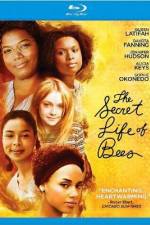 Watch The Secret Life of Bees Fmovies