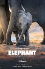 Watch Elephant Fmovies