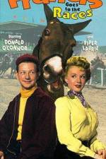 Watch Francis Goes to the Races Fmovies