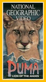 Watch Puma: Lion of the Andes Fmovies