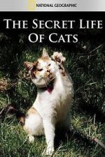 Watch The Secret Life of Cats Fmovies