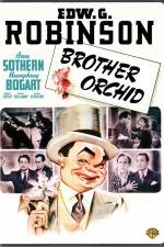 Watch Brother Orchid Fmovies