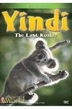 Watch Yindi the Last Koala Fmovies