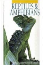 Watch Reptiles and Amphibians Fmovies