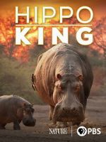 Watch Hippo King Fmovies