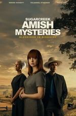 Watch Sugarcreek Amish Mysteries: Blessings in Disguise Fmovies