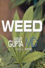 Watch CNN Weed Sanjay Gupta Report Fmovies