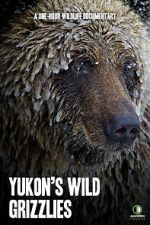 Watch Yukon\'s Wild Grizzlies Fmovies