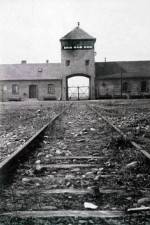 Watch AUSCHWITZ: FRENZIED KILLING Fmovies