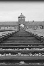 Watch AUSCHWITZ: ORDERS AND INITIATIVES Fmovies