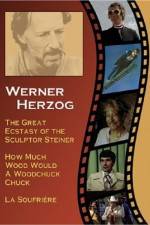 Watch Die große Ekstase des Bildschnitzers Steiner Fmovies