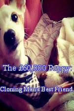 Watch The £60,000 Puppy: Cloning Man's Best Friend Fmovies