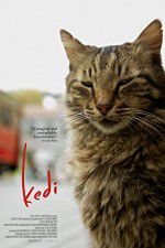 Watch Kedi Fmovies