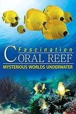 Watch Fascination Coral Reef: Mysterious Worlds Underwater Fmovies