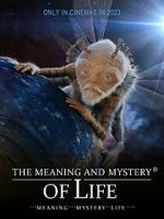 Watch The Meaning and Mystery of Life Fmovies