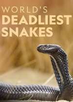Watch World's Deadliest Snakes Fmovies