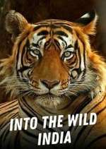 Watch Into the Wild India Fmovies